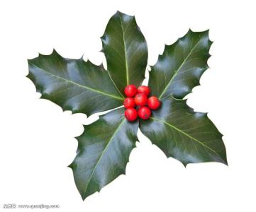 ÍÑÆ¶¹¥¼á£ü·ÇÒÅ¡°»î¡±ÆðÀ´ ÒýÁìÎÄ´´¡°±¼¿µÂ·¡±