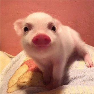 ǰ11¹ҵҵʵ57445Ԫ ͬ2.4%