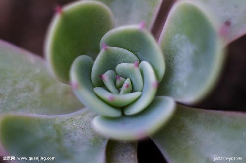 ¹¤ÐŲ¿£º2021ÄêÎÒ¹ú½«Ð½¨5G»ùÕ¾60Íò¸öÒÔÉÏ