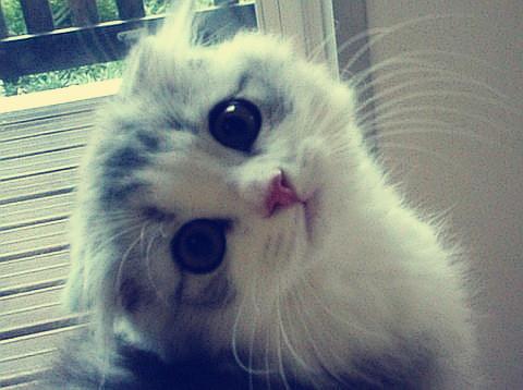 ÈËʶ¯Ì¬£üׯÉÙÇÚÈÎ×ÔÈ»×ÊÔ´²¿¸±²¿³¤