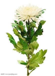 ÕâÒ»Äê:¹ú°²·¨»®¶¨·¨ÂɺìÏß