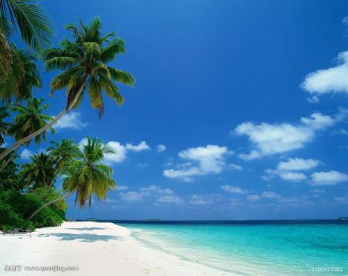 ÕâÒ»Äê:¹ú°²·¨»®¶¨·¨ÂɺìÏß