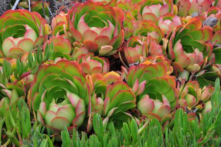 ȫIPOʶӽʷλ гǹĭ