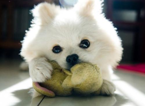 解读长江保护法|将为保护母亲河提供哪些保障