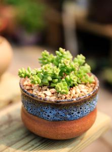 ¹úÎñÔº½ÌÓý¶½µ¼°ì:ÑϲéÖÐСѧ½Ìʦµ½Åàѵ»ú¹¹¼æÖ°