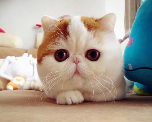 人事动态|庄少勤任自然资源部副部长