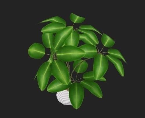 上海发出寒潮预警:郊区最低温可至零下8摄氏度