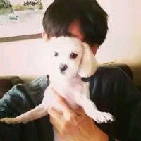 ÑëÐÐÒø±£¼à»á·¢ÎĽ¨Á¢·¿µØ²ú´û¿î¼¯ÖжȹÜÀíÖÆ¶È