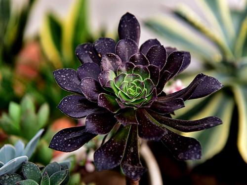 永4.2Ԫ㽭һҽթƭ