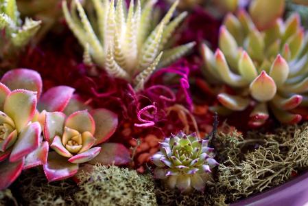 ÖÐÈÕ·ÀÎñ²¿Ãź£¿ÕÁªÂç»úÖÆÖ±Í¨µç»°ÓÐÍû¾¡¿ì½¨Éè